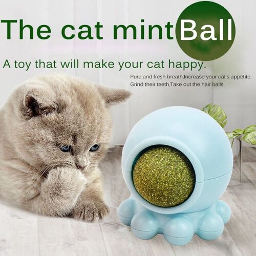 Animal De Compagnie Cataire Jouets Comestible Cataire Balle Sécurité Sain Chat Menthe Chats Maison Chasse Jeu Jouet Produits Dents Propres Protéger L'estomac