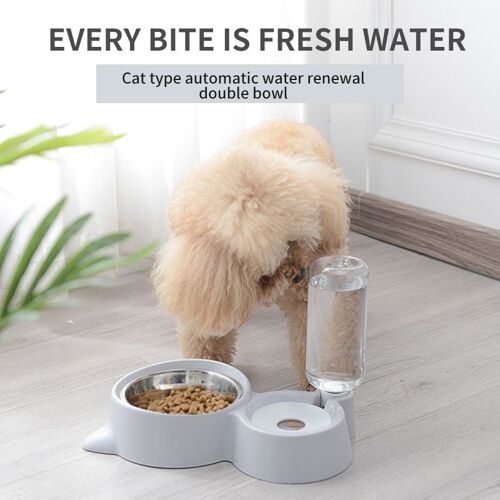 Bol Distributeur D'eau Automatique Double Port Pour Chien Ustensiles D'alimentation Bol Pour Chat Plat Pour Animal De Compagnie Bol Pour Petits Chiens Bols À Boire Bouilloire Pour Chaton