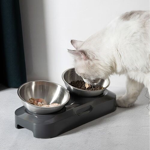Bols Surélevés Pour Chat De Compagnie Bols Doubles Durables Support Surélevé Fournitures D'alimentation Et D'arrosage Pour Chat