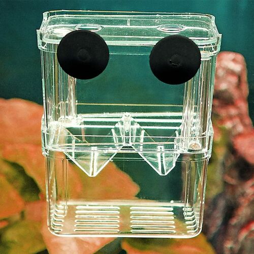 Aquarium Écloserie Acrylique Aquarium Élevage Isolation Boîte Combat Mini Incubateur Support Boîte Transparente Aquarium Accessoires