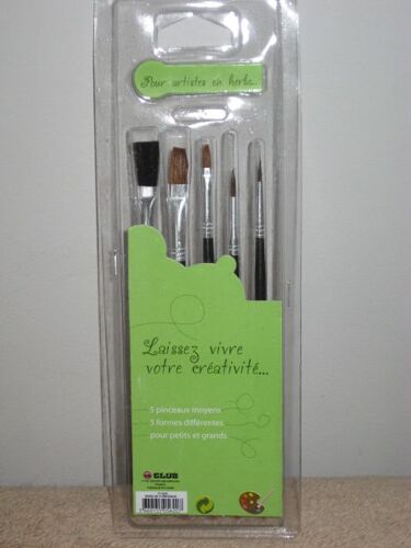 5 Pinceaux De Peinture