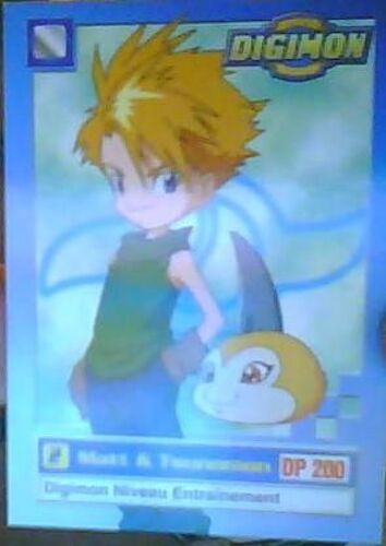Digimon Matt & Tsunomon 2