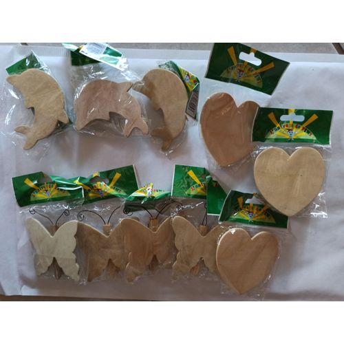 Lot De 10 Porte- Mémo Magnétiques 3