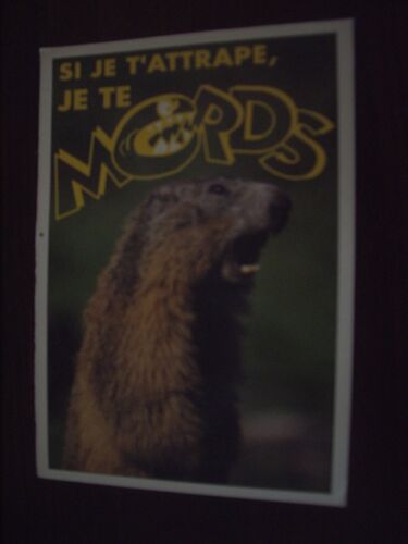 Si Je T'attrape Je Te Mords ; Superbe Carte Humoristique De Michel Pendaries