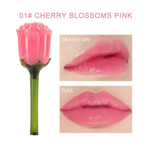 5 Ml Femmes Maquillage 5 Couleurs Rose Brillant À Lèvres Hydratant Rose Miroir 3d Lèvres Glaçure Maquillage Facile À Porter Durable Brillant À Lèvres 