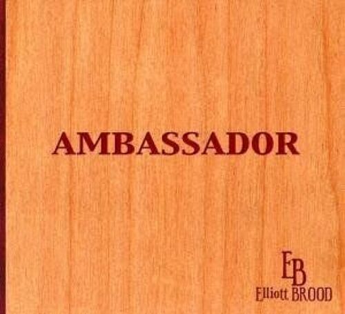 Ambassador