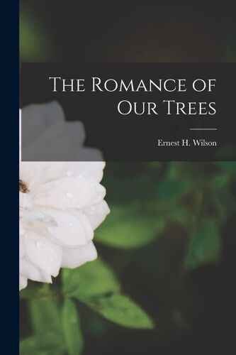 The Romance Of Our Trees