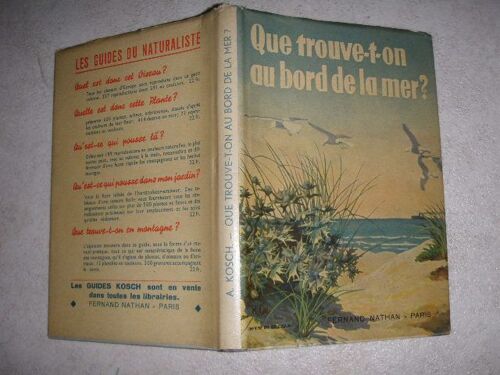 Que Trouve-T-On Au Bord De La Mer ?