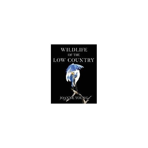 Wildlife Of The Low Country