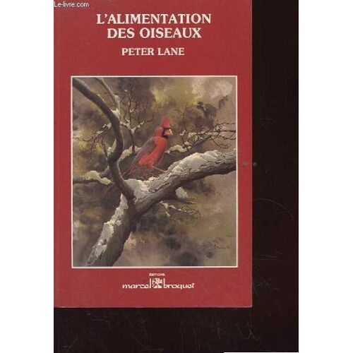 L'alimentation Des Oiseaux