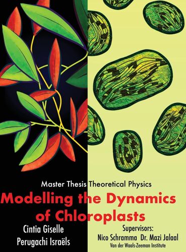 Modelling The Dynamics Of Chloroplasts