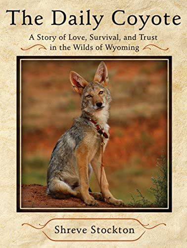 The Daily Coyote: A Story Of Love, Survival, And Trust In The Wilds Of Wyoming