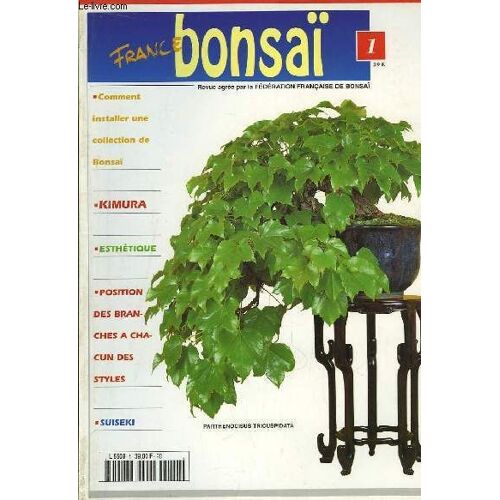 France Bonsaï N°1 : Comment Installer Une Collection De Bonsaï - Une Idée Novatrice, Par Kimura - Position Des Branches À Chacun Ses Styles, Par Kindai Bonsai ...