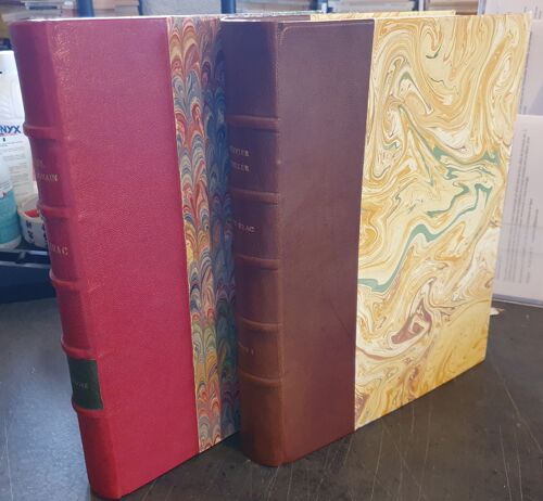 Les Brac, Une Famille Consulaire Lyonnaise De L'ancien Régime À La Iiième République - Racines, Alliances , Fortune, Généalogie