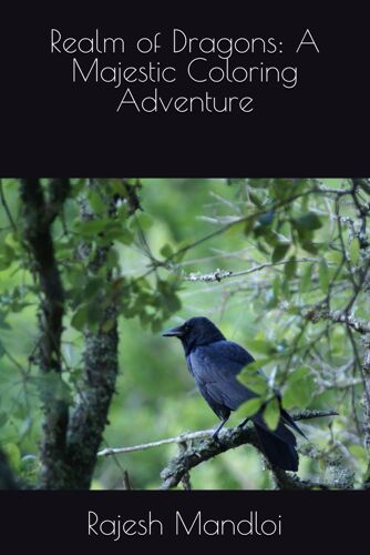 Realm Of Dragons: A Majestic Coloring Adventure