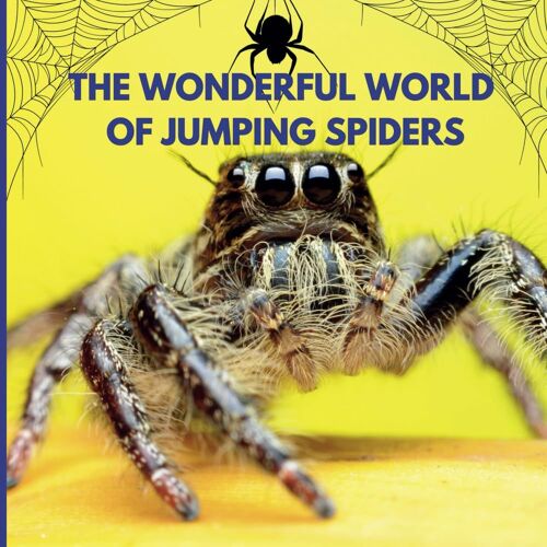 The Wonderful World Of Jumping Spiders: Interesting Facts About Jumping Spiders