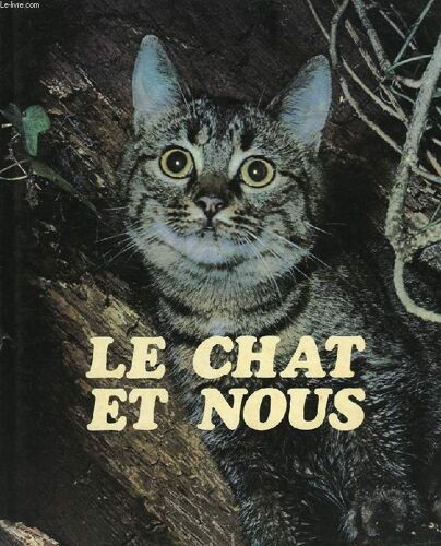 Le Chat Et Nous