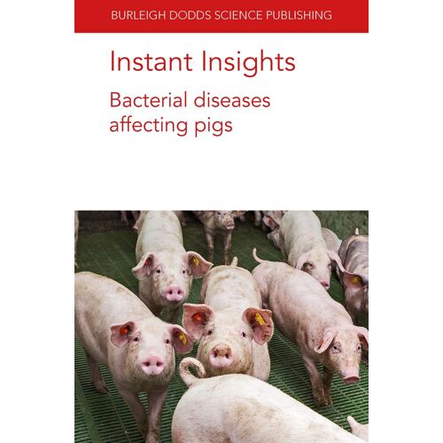 Instant Insights