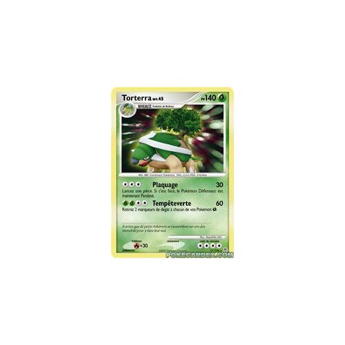 Torterra 140pv Holographique Très Rare