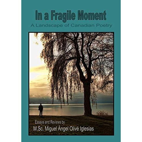 In A Fragile Moment