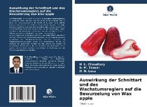 Auswirkung Der Schnittart Und Des Wachstumsreglers Auf Die Bewurzelung Von Wax Apple