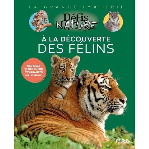 A La Découverte Des Félins