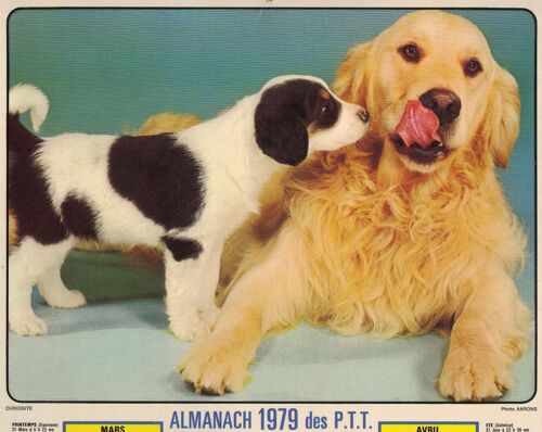 Almanach Des Ptt 1979 Collection Jean Lavigne