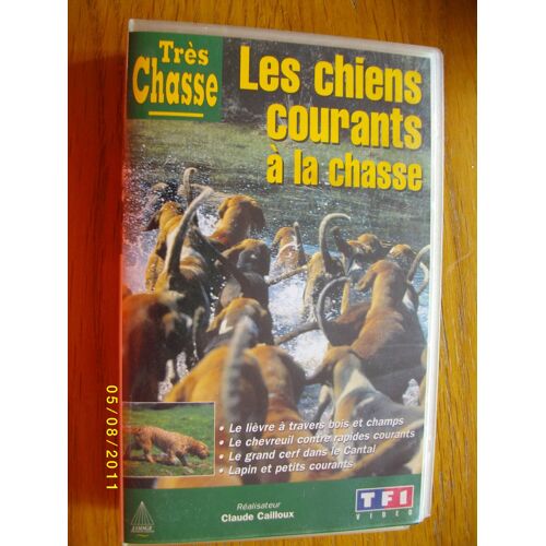 Les Chiens Courants A La Chass