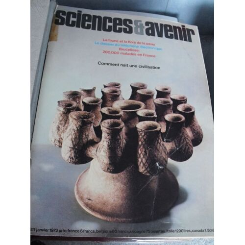 Sciences & Avenir  N° 311 : Comment Nait Une Civilisation - Le Téléphone Électronique - Brucellose
