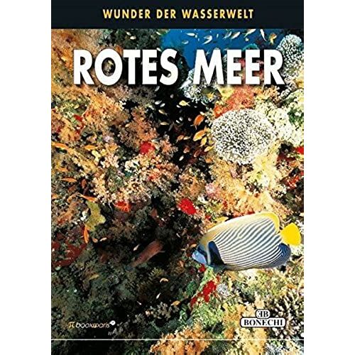 Fische Im Roten Meer