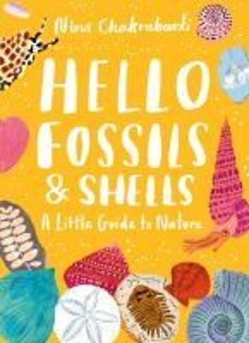 Little Guides To Nature: Hello Fossils And Shells