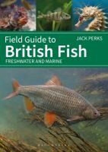 Field Guide To British Fish