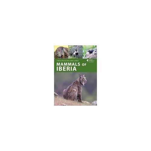 Mammals Of Iberia