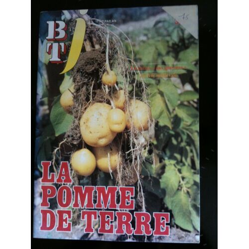 Btj  N° 319 : La Pomme De Terre - La Fete Medievale