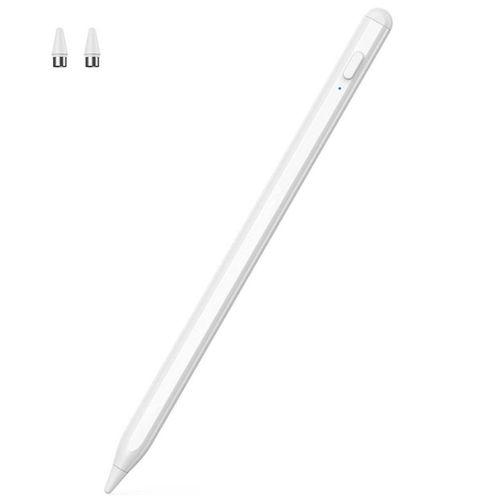Stylo tactile pour ipad avec 2 têtes