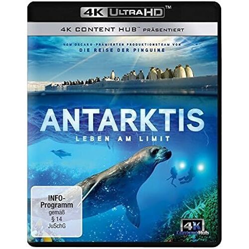 Antarktis-Leben Am Limit 4k Ultra-Hd 4k Import