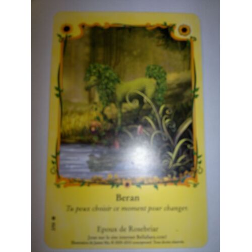 Bella Sara Fleurs Du Soleil Beran 2/55