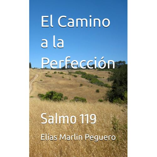 El Camino A La Perfección: Salmo 119