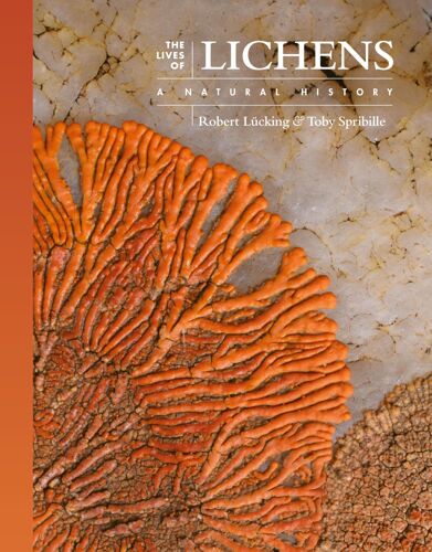 The Lives Of Lichens