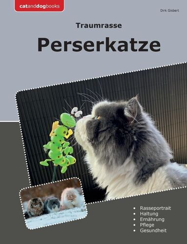 Traumrasse Perserkatze