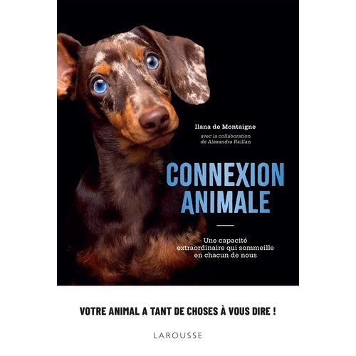 Connexion Animale - Une Capacité Extraordinaire Qui Sommeille En Chacun De Nous