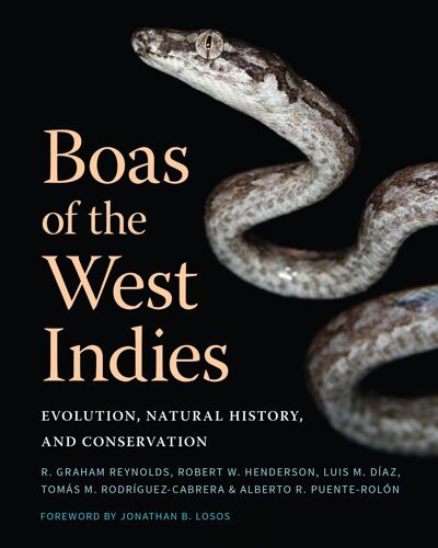 Boas Of The West Indies