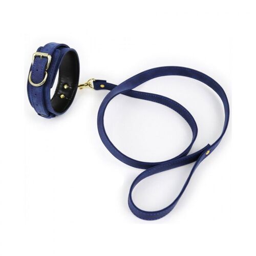 Collier & Laisse Collier Et Laisse Lighty Bleu