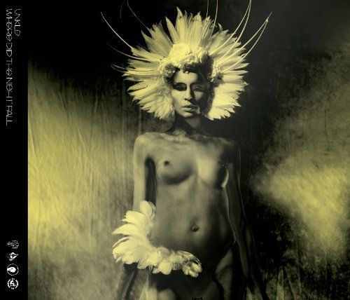 Where Did The Night Fall: