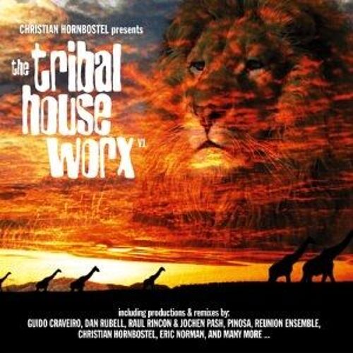 Tribal House Worx 1