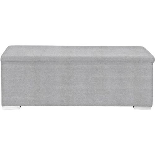 Bout De Lit Coffre Chest En Uran 01 Silver