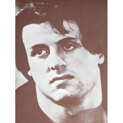 Sylvester Stallone Dans Rocky