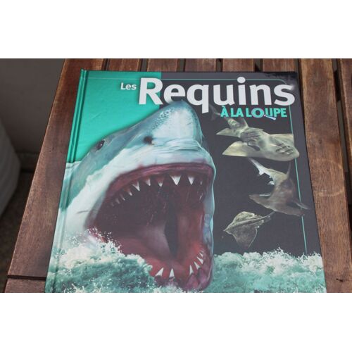 Les Requins A La Loupe