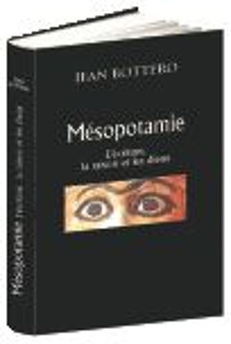 Mésopotamie - L'écriture, La Raison Et Les Dieux