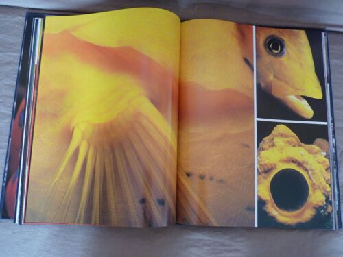 Les Couleurs Du Bleu